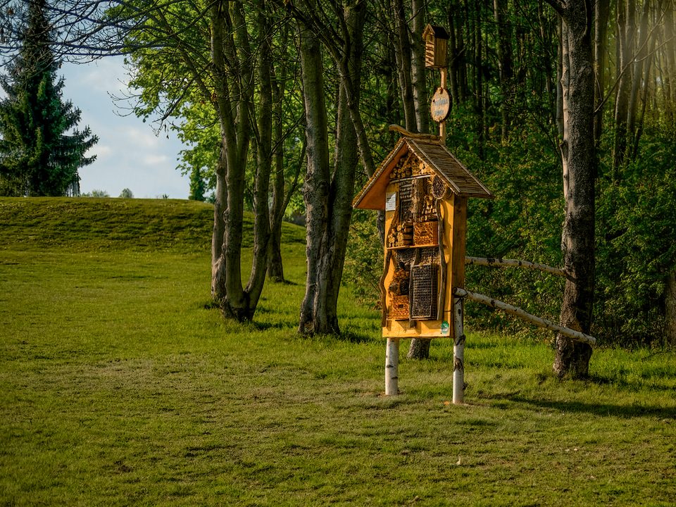 Insektenhotel am Waldrand des Golfplatzes
